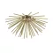 ELMARK 003064-011260 ZUMA LINE CEILING LAMP URCHIN C0491-06B-F7DY 6XG9