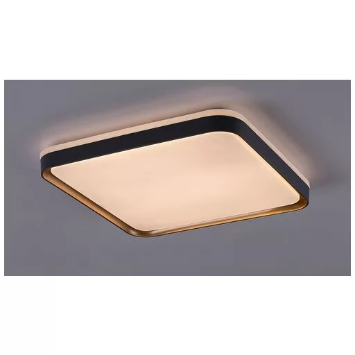 RÁBALUX Liatris 71029 Mennyezeti lámpa IP20 230V, 50Hz