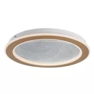 RÁBALUX Efrael 71281 Mennyezeti lámpa IP20 230V, 50Hz