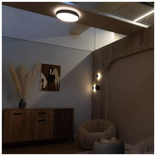 RÁBALUX Laleh 71305 Mennyezeti lámpa IP20 230V, 50Hz