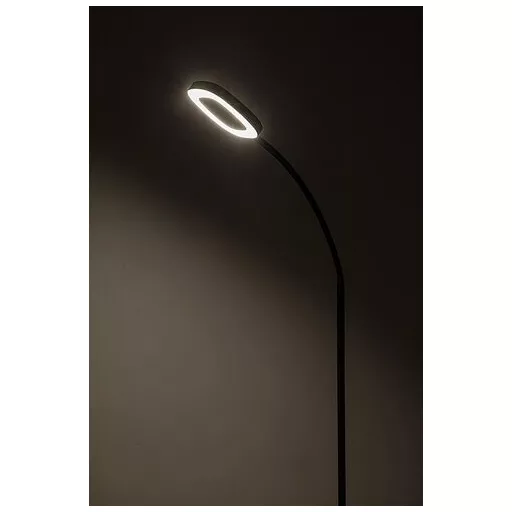 RÁBALUX Rader 74004 Állólámpa IP20 230V, 50Hz