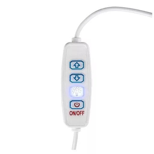 RÁBALUX Pirit 76003 Asztali lámpa IP20 DC 5V