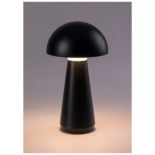 RÁBALUX Ishtar 76007 Asztali lámpa IP44 DC 5V