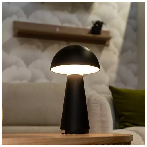 RÁBALUX Ishtar 76007 Asztali lámpa IP44 DC 5V