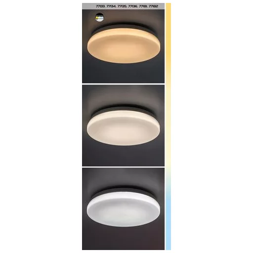RÁBALUX Lowar 77134 Kültéri mennyezeti lámpa IP44 230V, 50Hz