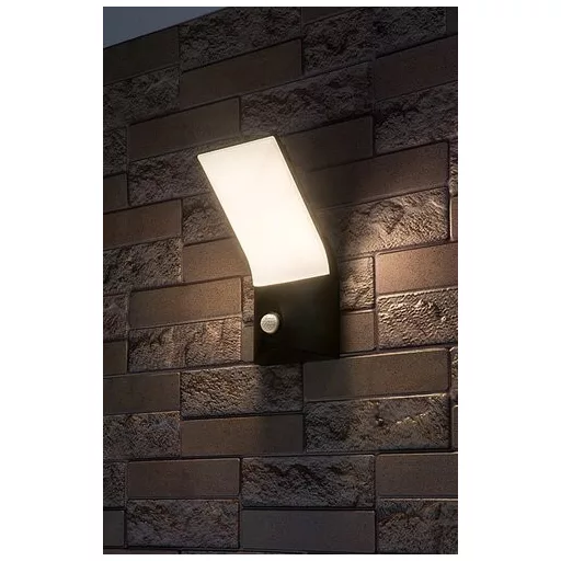 RÁBALUX Tolna 77172 Kültéri fali lámpa IP54 230V, 50Hz