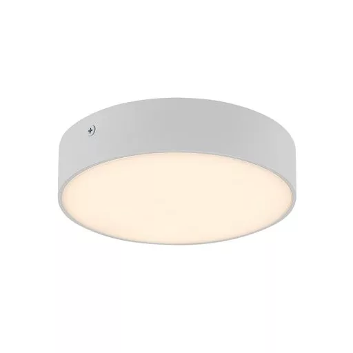 RÁBALUX Tartu 7893 Kültéri mennyezeti lámpa IP44 230V, 50Hz
