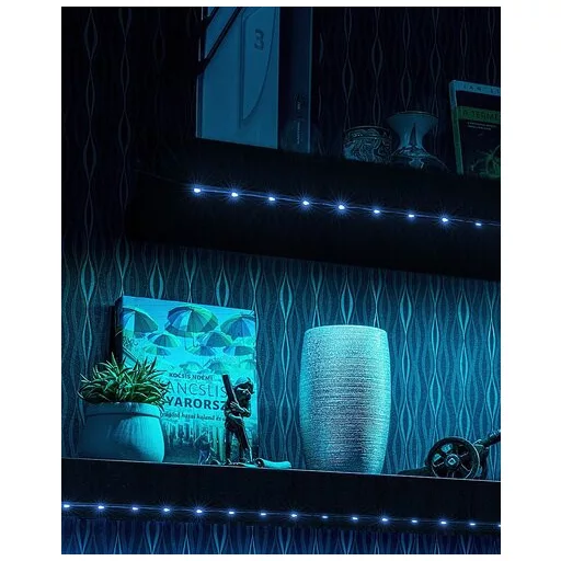RÁBALUX LED Strip 79023 LED szalag IP20 DC 12V