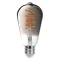 RÁBALUX Filament-LED 79157 LED Filament IP20 230V, 50Hz